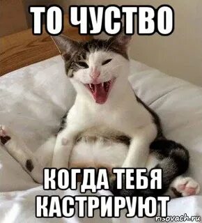 Меня кастрировали speed