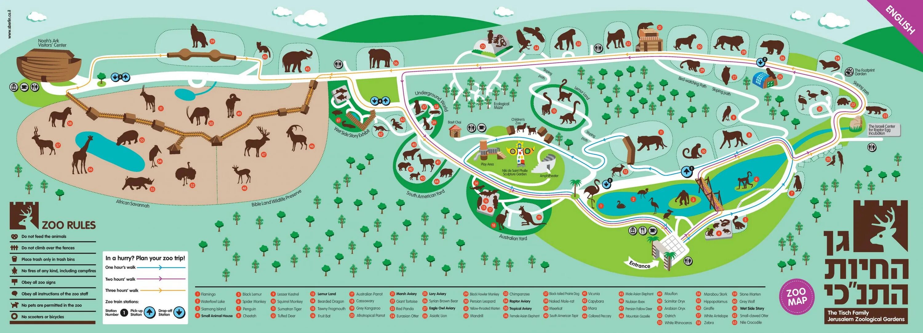 Можно ли в зоопарк по пушкинской. Зоопарк Иерусалим. Библейский зоопарк в Иерусалиме. Схема зоопарка Новосибирск. Новосибирский зоопарк карта схема.