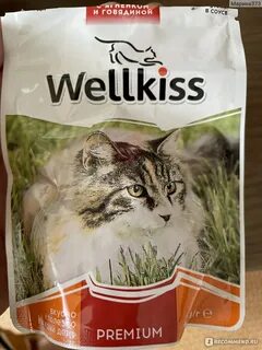 Корм для кошек wellkiss