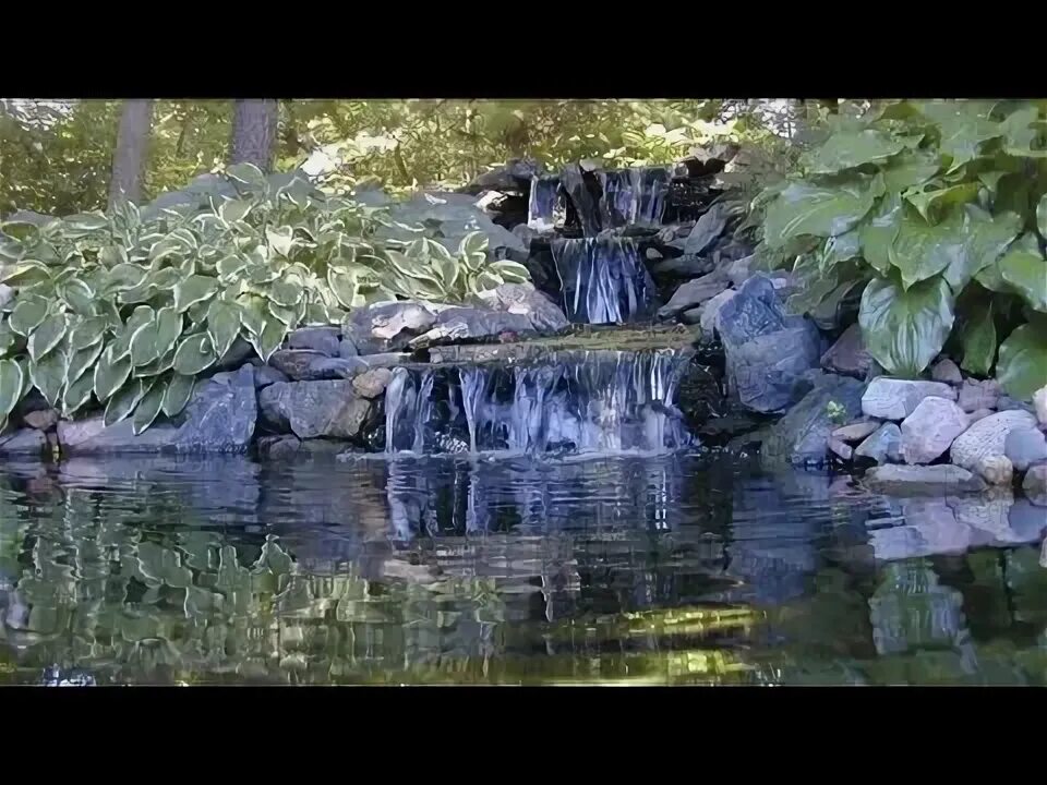 Oh, you know, just walking through the old garden.. no big deal. - Imgur Garden 