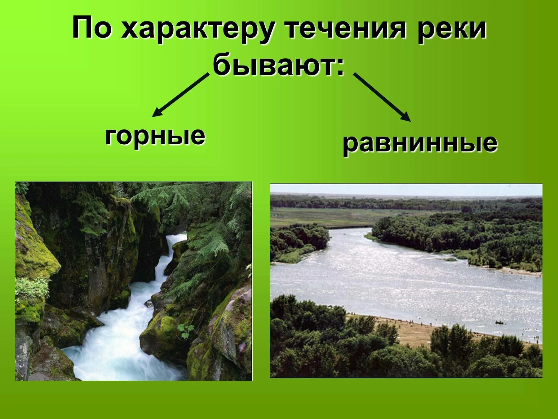 Характер течения воды. Горные и равнинные реки. Воды суши ручьи реки. Части горной реки. Горные и равнинные реки России.