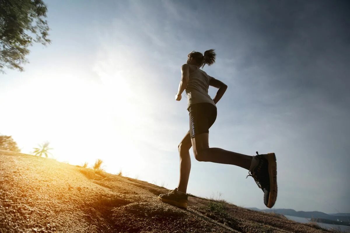 Learning to run