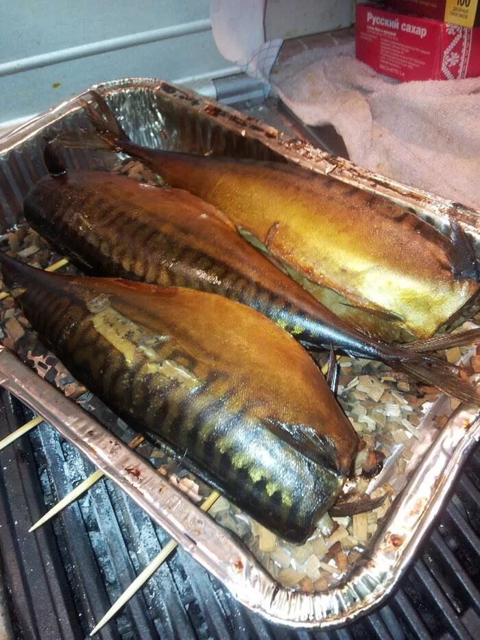 Коптильня для рыбы. Рыба горячего копчения скумбрия. Скумбрия в коптильне. Копчение рыбы скумбрия. Копчение рыбы скумбрия.