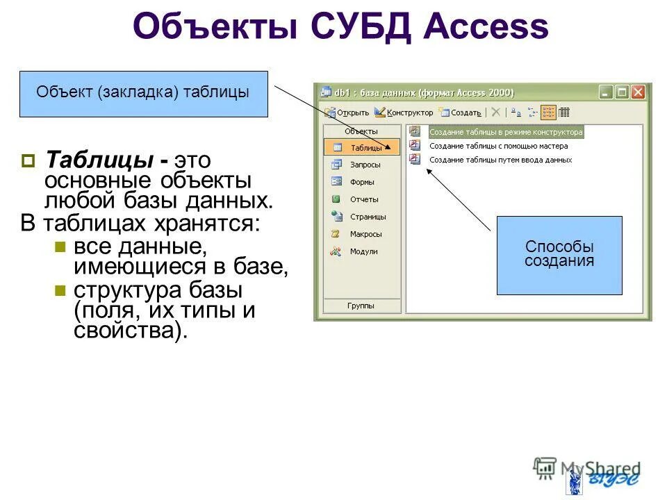 Окно база данных в access 2007. База данных аксесс формы. Объекты системы управления базами данных ms access. Система управления базами данных майкрософт аксесс. Отчёт в базе данных access.