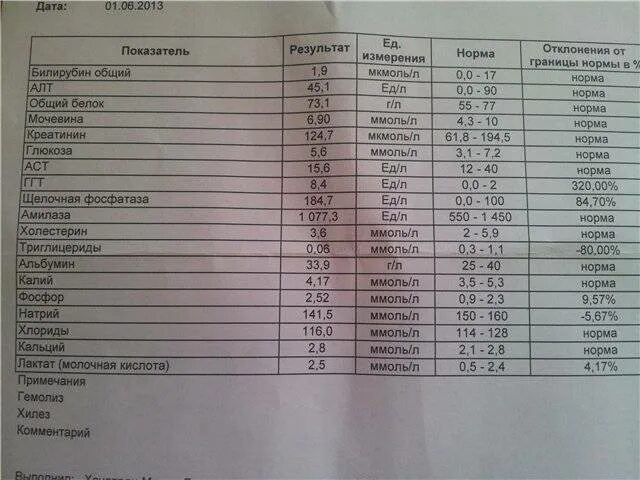 Кровь plt повышен. Биохимический анализ крови билирубин норма. Нормальные показатели анализов крови биохимия. Щелочная фосфатаза расшифровка. Анализ билирубин общий норма.