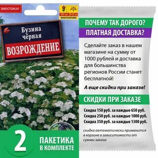 Бузина семена