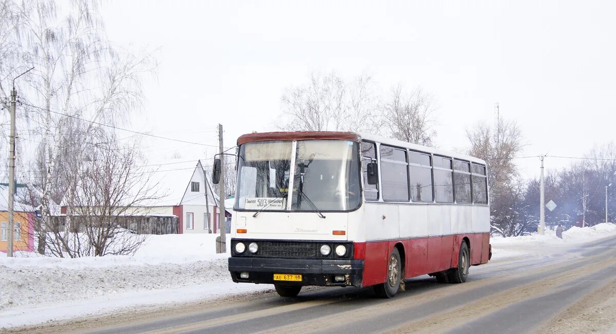 Икарус 256.75. Икарус 256 Тамбов. Ikarus 256 Тамбов. Автобус Тамбов Моршанск.