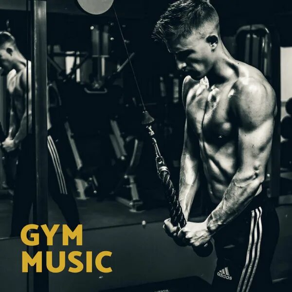 Gym Music ава. Музыка для тренировок слушать. Gym Music jp фото. Боди Проджект спорт. Слушать музыку для тренировок мотивация мужчин