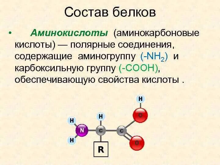 Кислотные белки