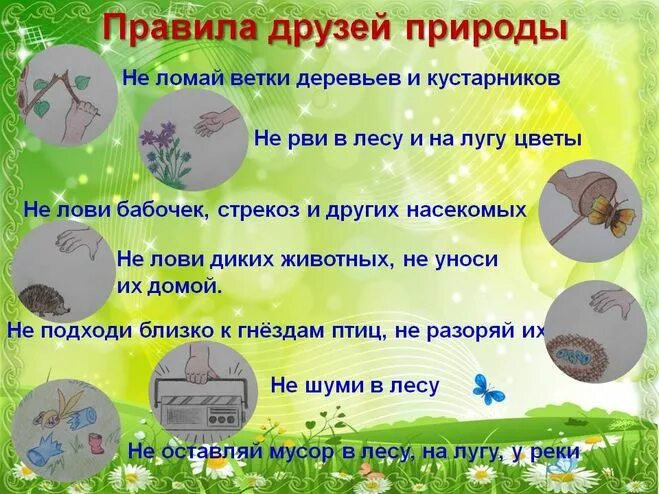 2 3 правила природы. Поавило друзей природа. памятка друзей природы. пять правил друзей природы. правило друзей природы и экологический.