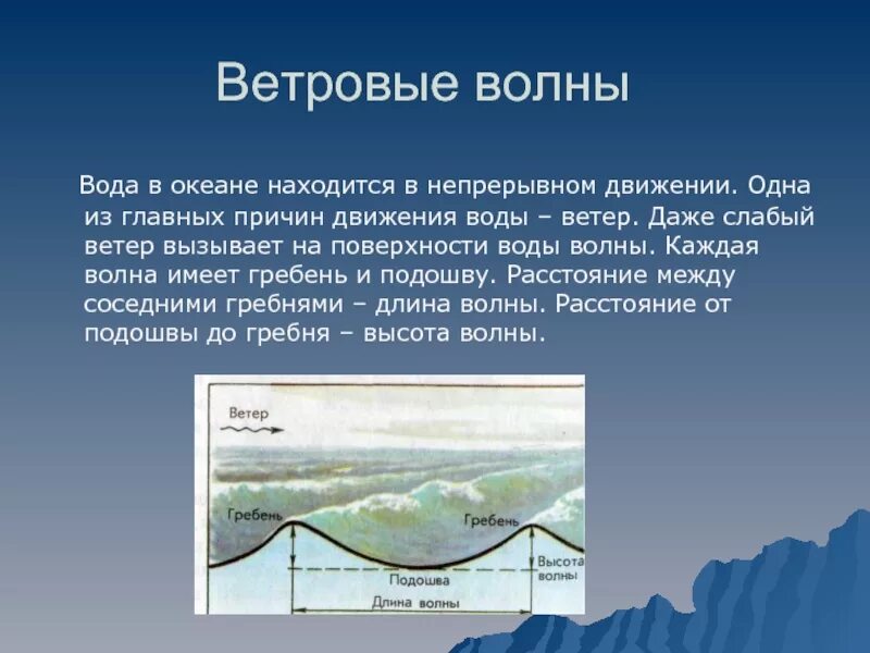 Ветровые волны. Характеристика ветровых волн. Ветровые волны в океане. Возникновение ветровых волн. Характер движения воды