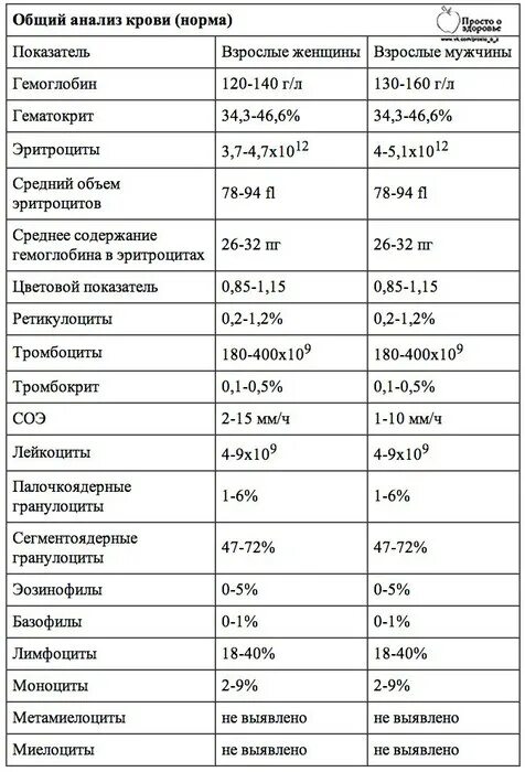 Норма л в крови у мужчин. Общий клинический анализ крови норма у женщин. Норма клинического анализа крови у мужчин таблица. Общий анализ крови норма у женщин после 50 расшифровка норма таблица. Норма показателей крови у женщин таблица общий анализ.