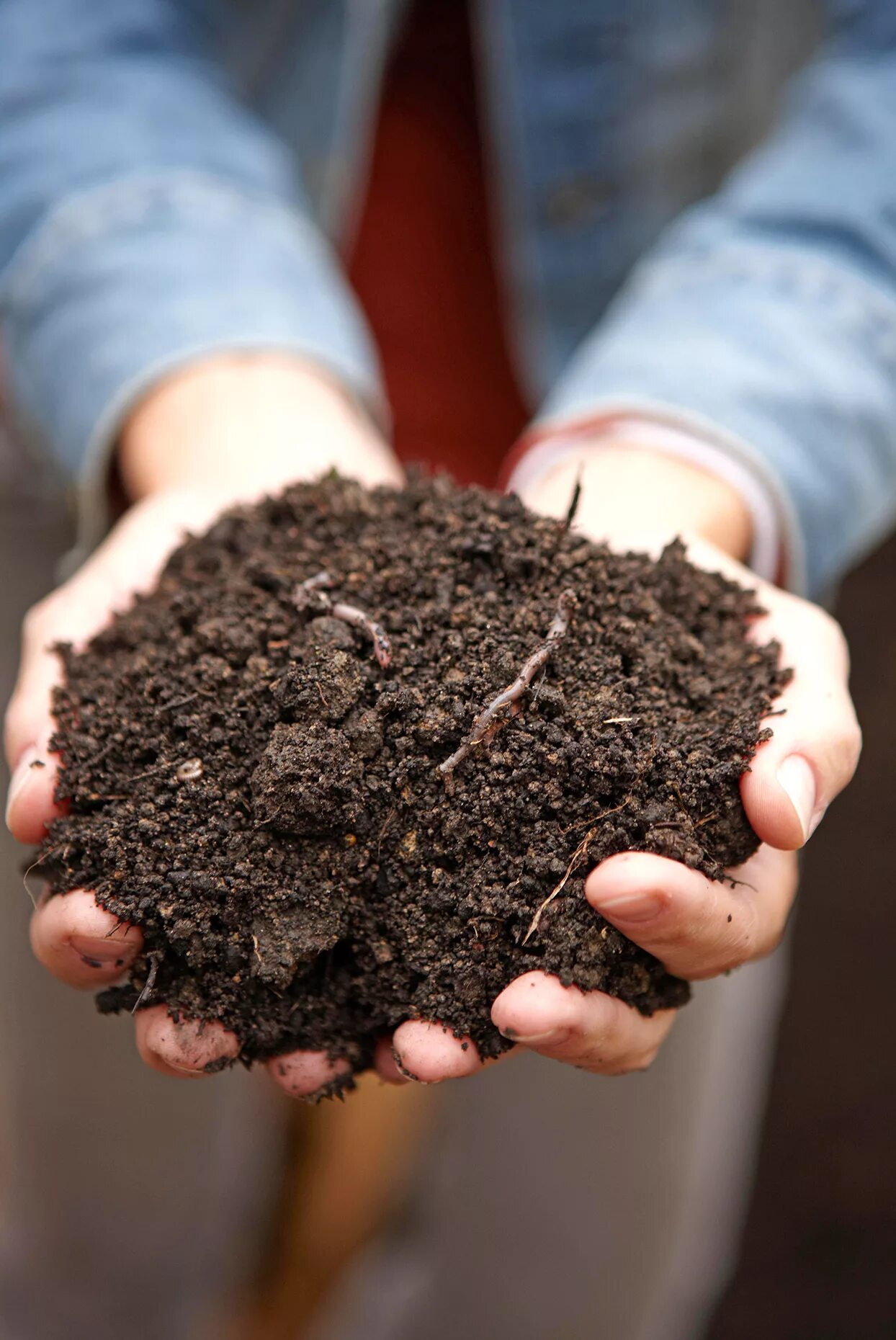 Почва. Плодородная почва. Земля грунт. Здоровая почва. Земля для растений.