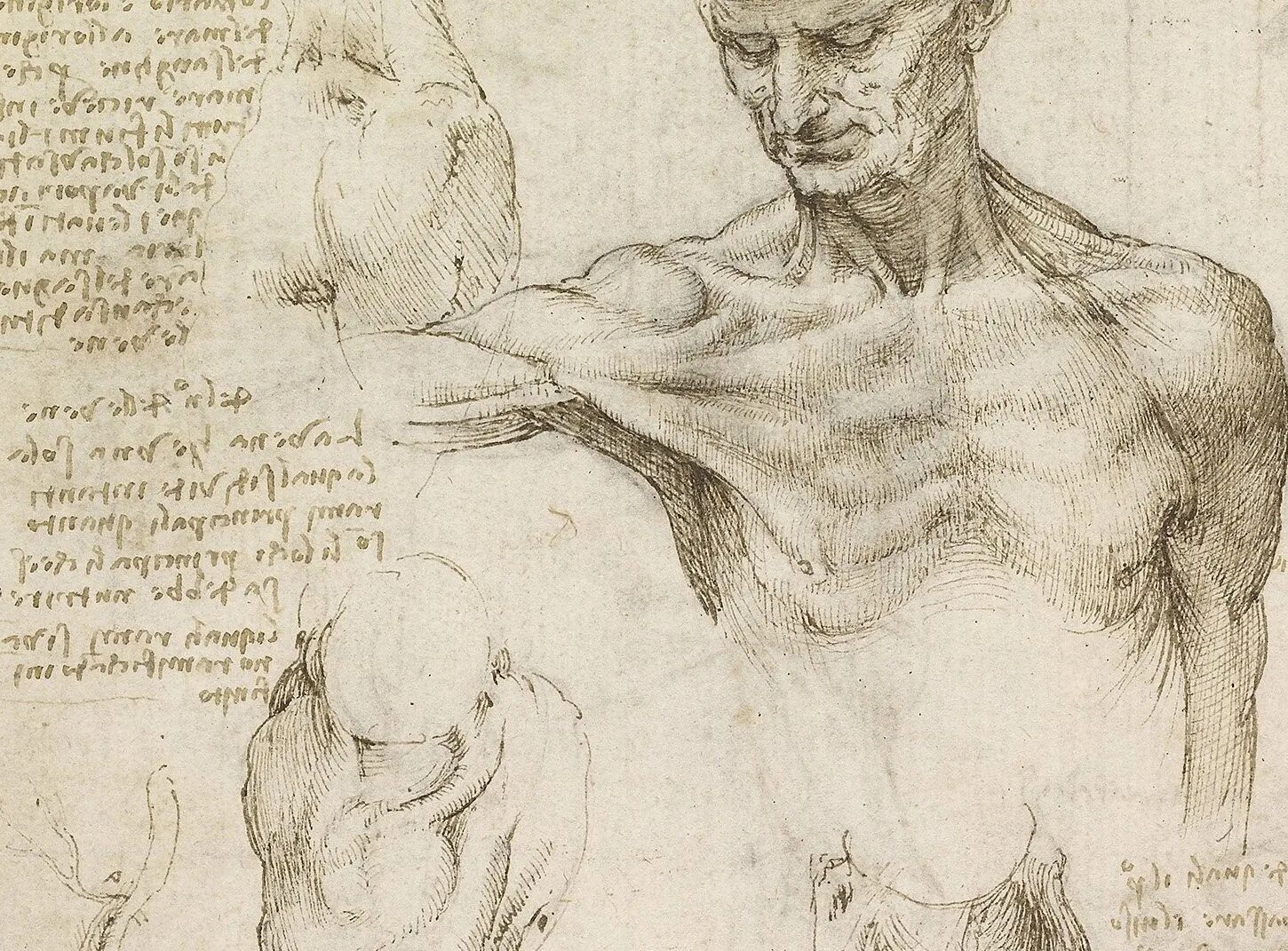 леонардо да винчи книга о живописи. анатомические рукописи леонардо да винчи. трактаты художников. да винчи трактат о живописи. анатомические рукописи леонардо да винчи.