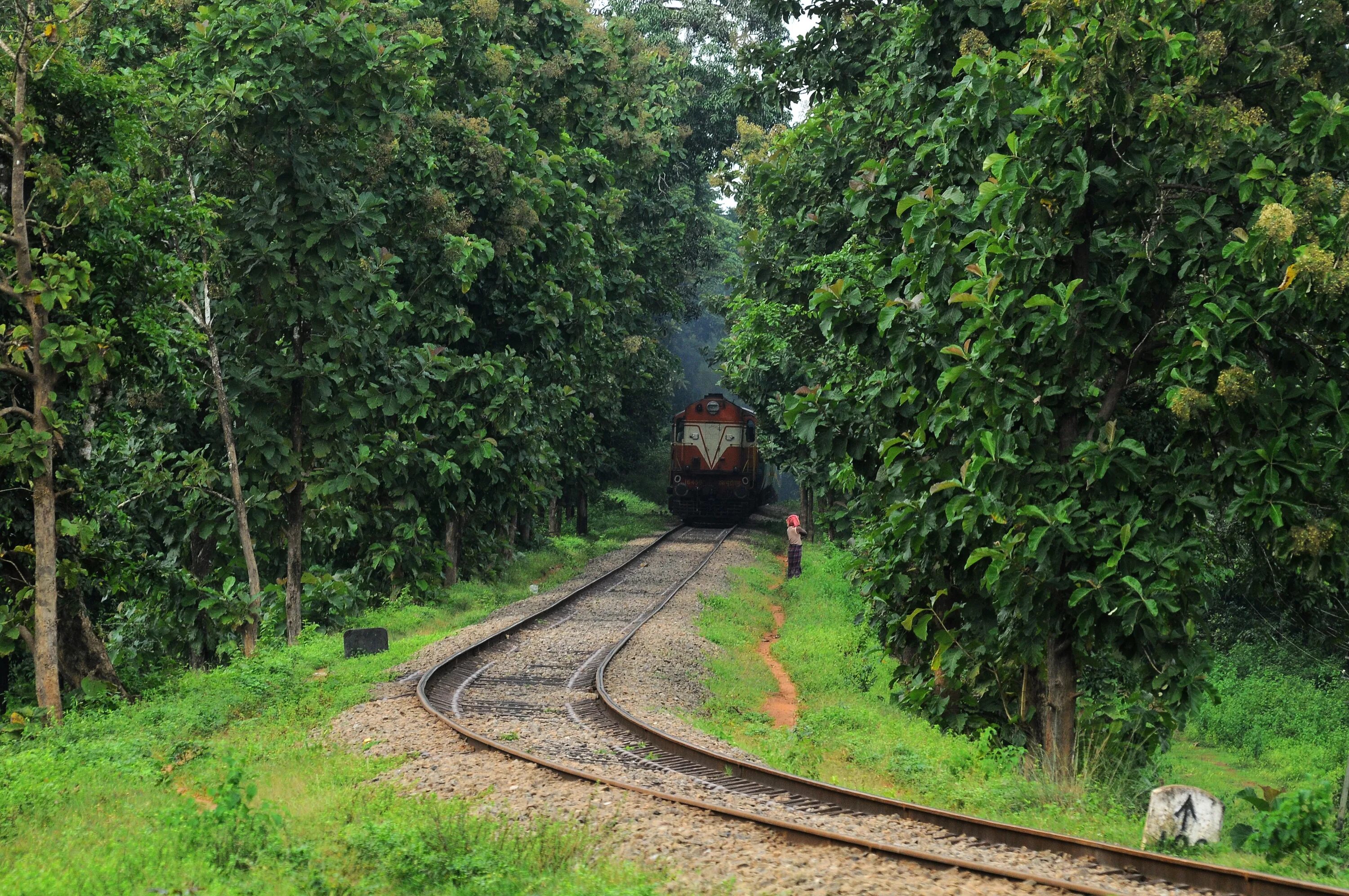 Railway line. Привислинские железные дороги. Железные дороги Бали. Железные дороги Кубы. Керала поезд в джунглях.