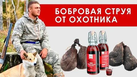 Бобровая струя охотники