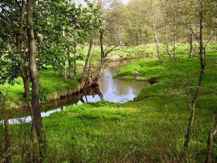 Село ручьи