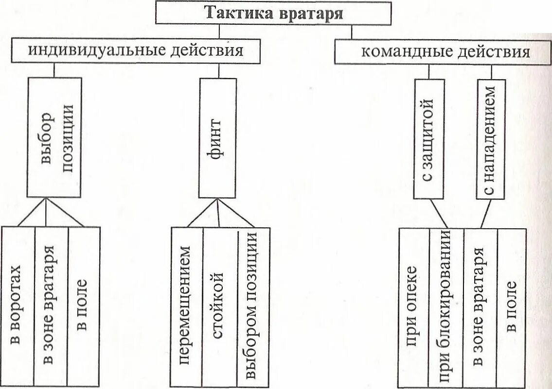 Групповые тактические действия в нападении. Классификация тактики нападения в баскетболе. Классификация тактики волейбола. Тактика игры в волейбол таблица. Классификация техники игры в баскетбол.