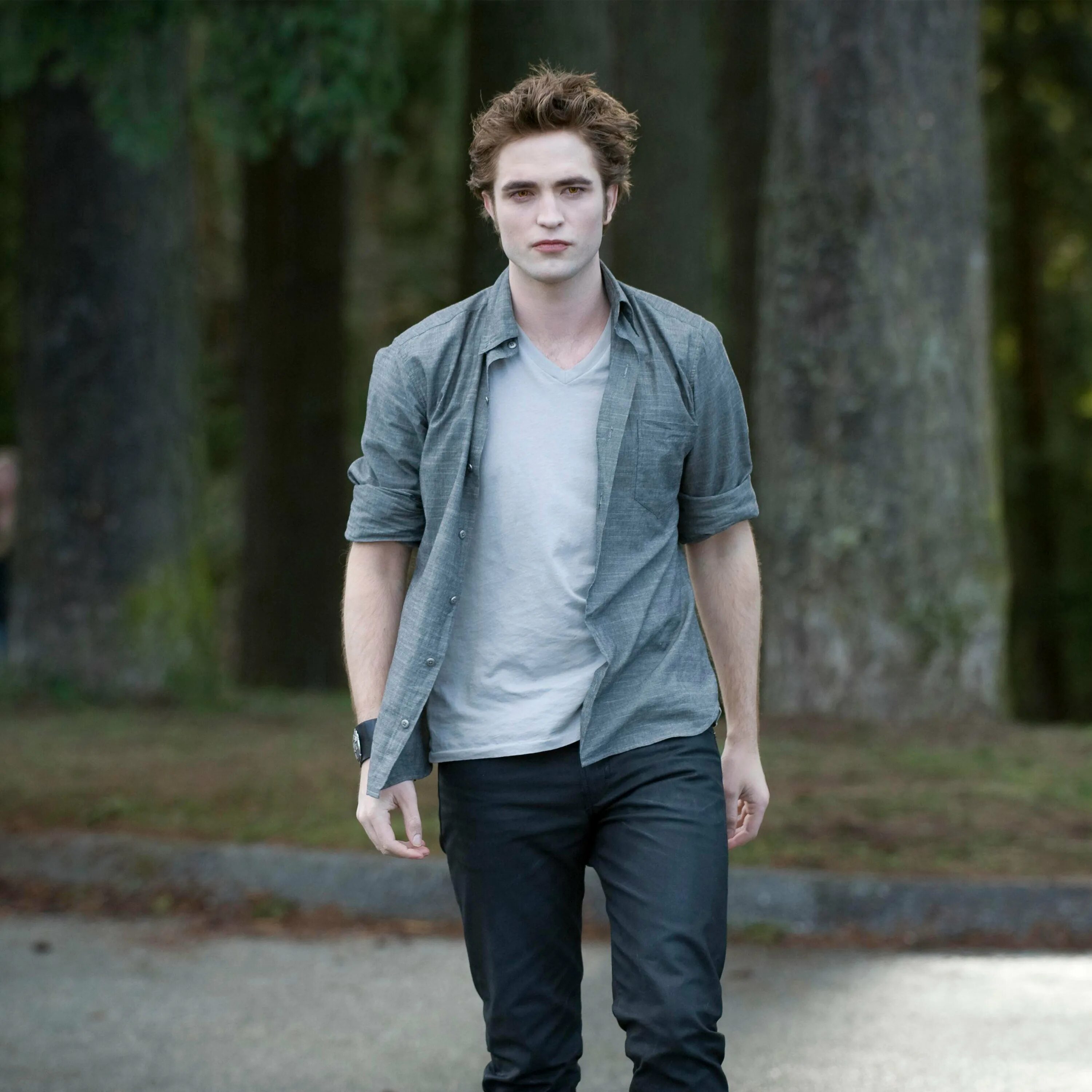 эшли грин сумерки элис. Twilight charlie swan. сумеруи. сумеруи. вольтури из сумерек способности и имена.