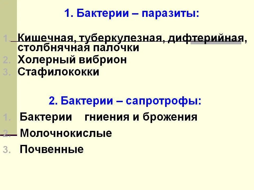 Палочка коха туберкулез. Туберкулёзная палочка и кишечная палочка. Бактерии паразиты презентация. Бактерии сапротрофы и паразиты. Туберкулезная палочка палочка коха.