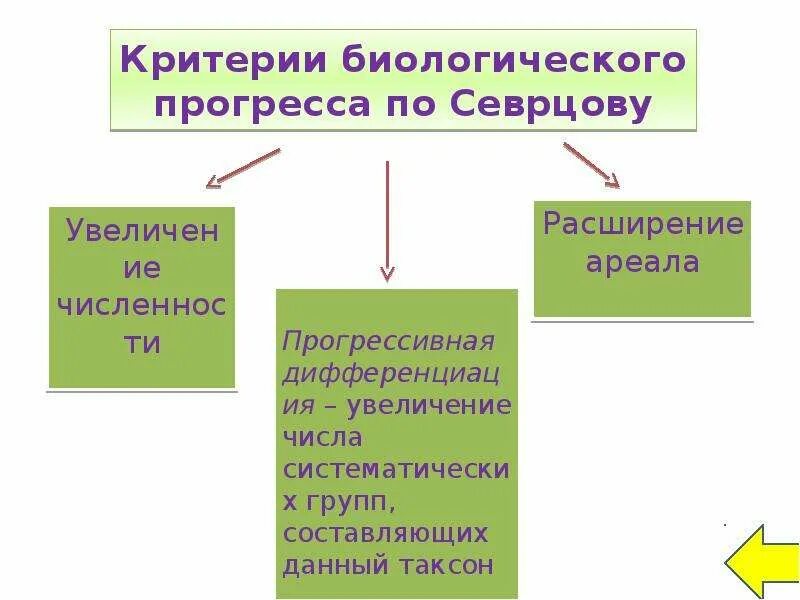 Характерные признаки биологического прогресса. Критерии биологического прогресса. Прогресс и регресс критерии биология. Биологический Прогресс и его критерии. Критерии биологического прогресса по Северцову.