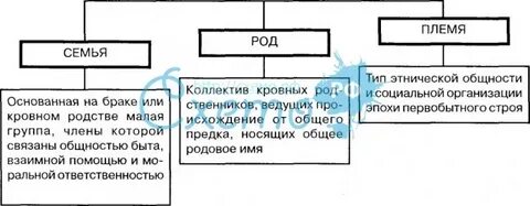 Племя какой род