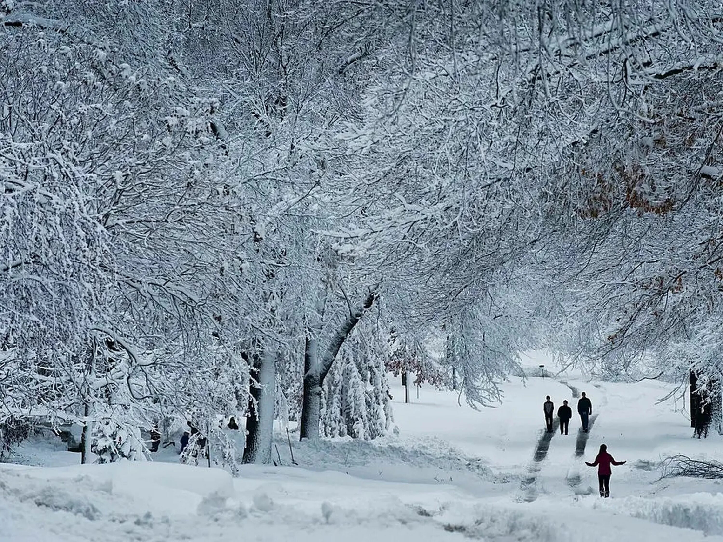 Cold and snowy. Зима холода. Холодная зима. Холодная зима фото. Snowing Cold weather.