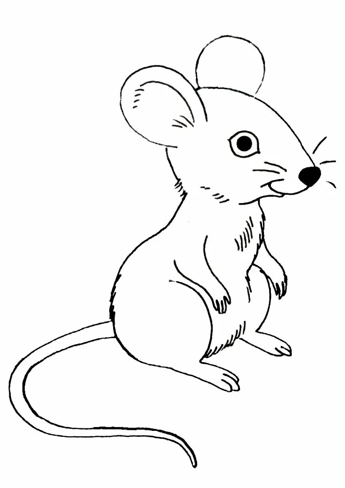 Раскраска мышка. Мышка для раскрашивания детям. Мышка раскраска для детей. Мышонок раскраска для детей. Раскраска мышь распечатать