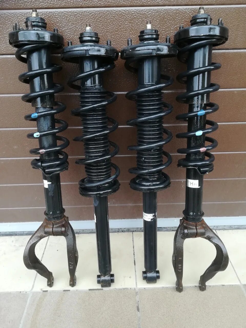 Стойки хонда аккорд 7. Задние стойки хонда аккорд 2008г. Стойки showa accord 7. Задние стойки хонда аккорд 8. Стойки body club accord cl7.