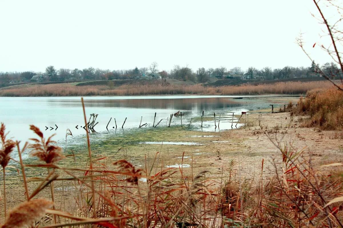 Развильное песчанокопского