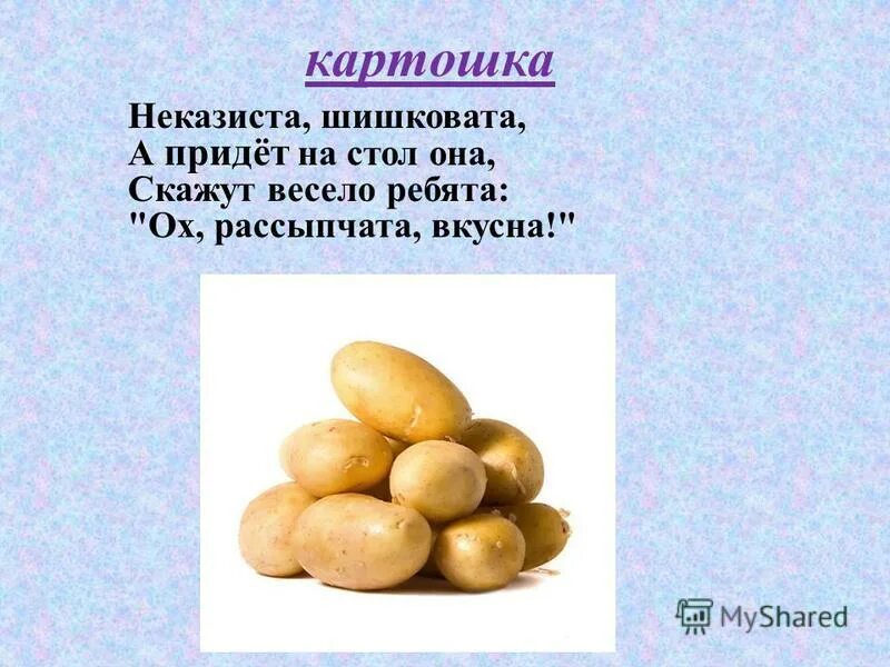 Неказиста шишковата а придёт на стол. Неказиста шишковата а придёт на стол она скажут весело. Рассыпчатая картошка. Картошка шишковатая.