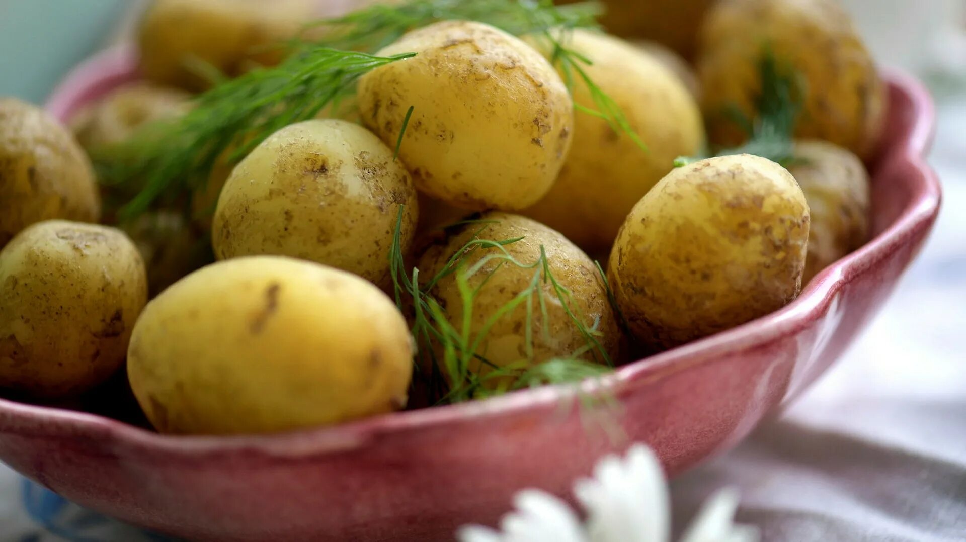 Швеция и картофель.