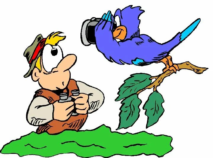 He sees a well. See cartoon. See a Bird Clipart. See a Bird in the Bushes Clipart. A Bird on a mans hand cartoon.