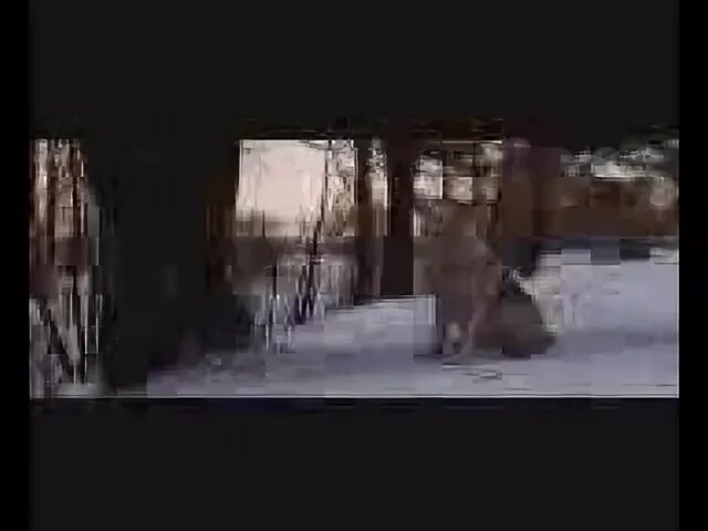 Кучина человек в телогрейке