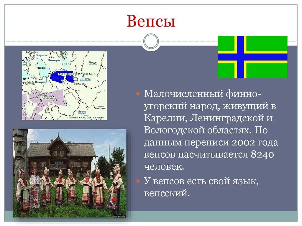 Народы проживающие в ленинградской области. Расселение финно-угорских племен. Финно угорские народы Руси. Финно-угорские народы вепсы Карелы. Расселение вепсов в Ленинградской области.