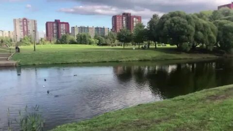 Малиновка 10