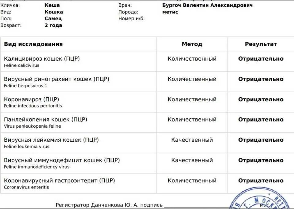 ПЦР диагностика коронавирусной инфекции. ПЦР тест от коронавируса. ПЦД тест на коронавирус. Справка ПЦР тест на коронавирус.