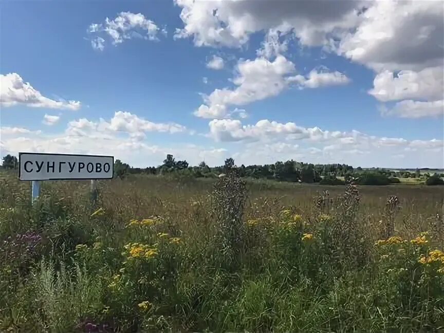 Погода сунгурово. Деревня сунгурово нижегородская область. Сунгурово курганская область. Церковь илии пророка в здемирово. Сунгурово курганская область.