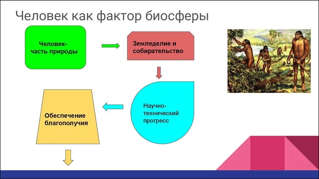 Многообразные связи человека с природой кратко. Биосфера и человек. Биосфера и человек презентация. Взаимодействие человека и биосферы. Взаимоотношение человека и природы.