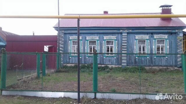 Дойные коровы чувашия. Дом шемурша. Недвижимость в шемурше. Дагестане. Авито шемурша чувашия животные.