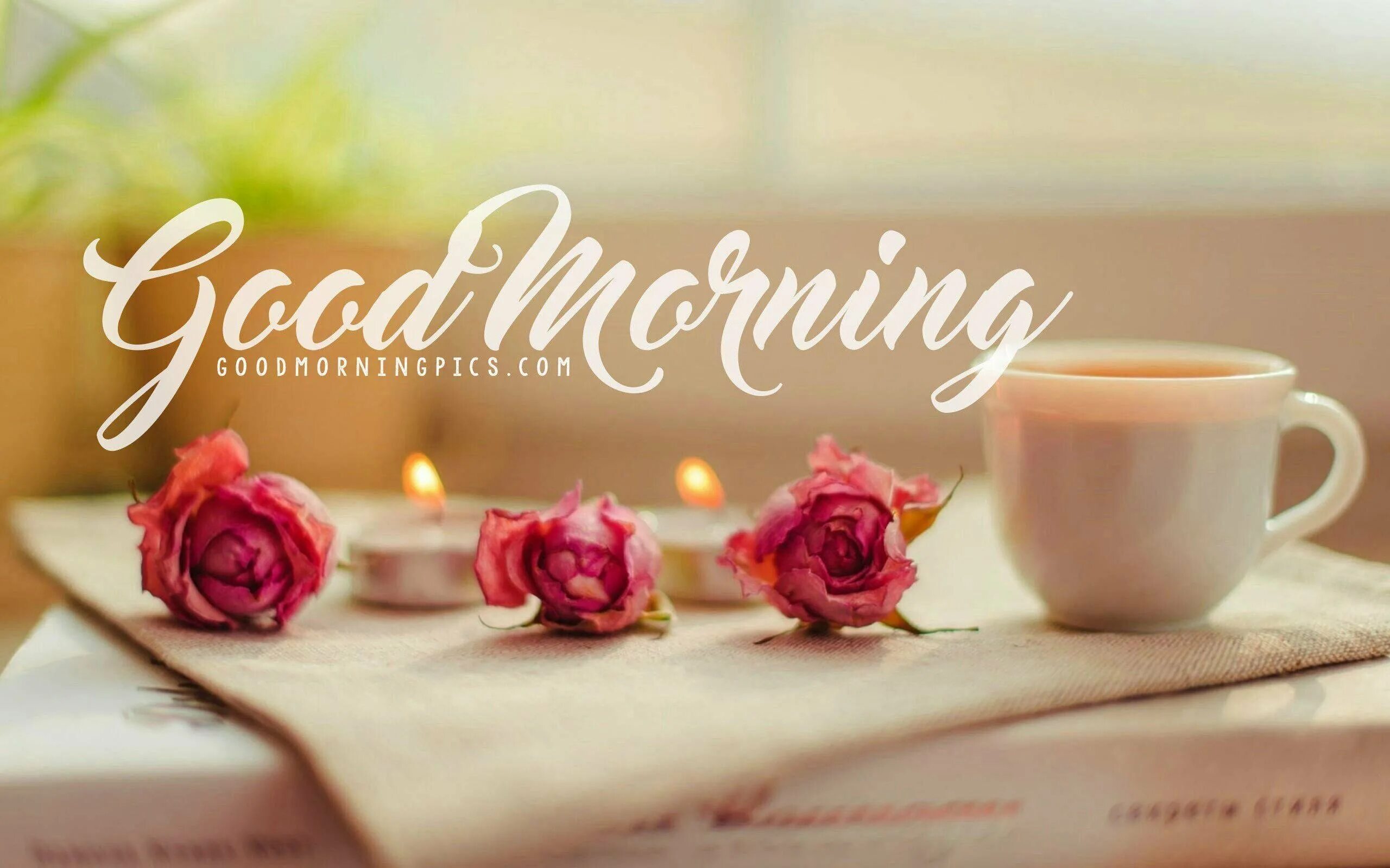 Утренние цветы. Кофе и цветы. Утренние цветы картинки. Кофе с цветами.