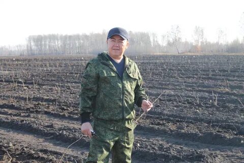 Погода киева ялуторовский