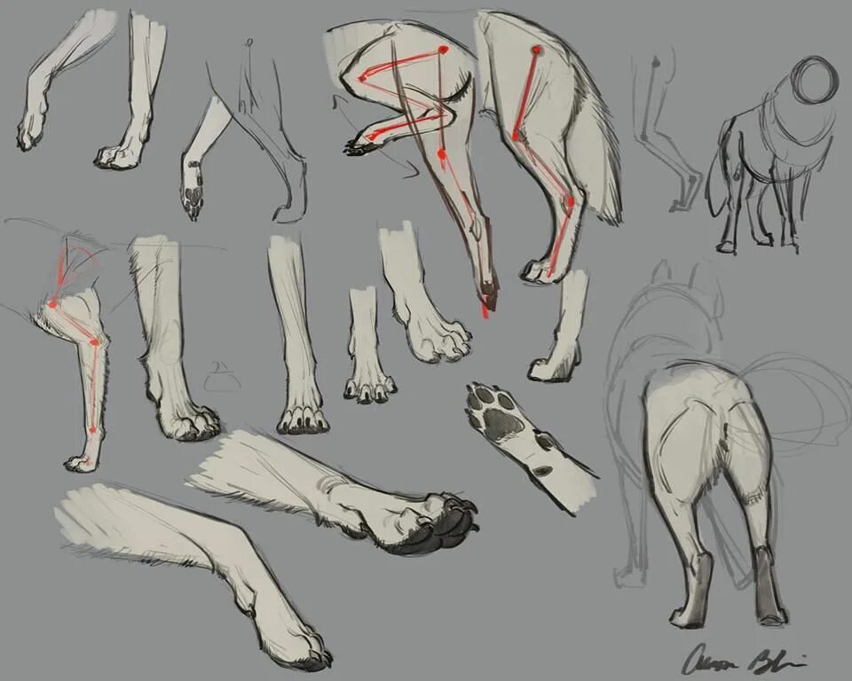 How to wolf