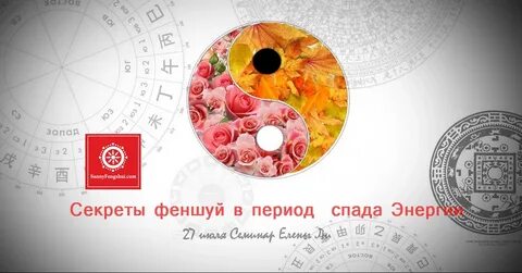 9 33 9 срок