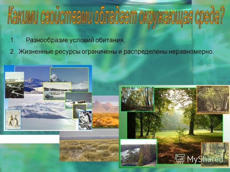 Геоботаника это наука о. Организмы разных сред обитания. Разнообразие условий жизни на земле. Биологическое разнообразие примеры. Среды обитания живых организмов таблица.