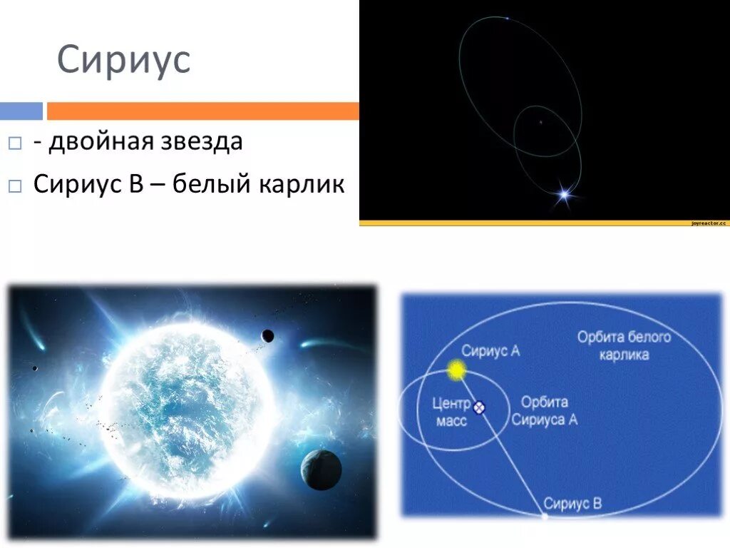 Сириус а и Сириус в двойная звезда. Звезды карлики Сириус. Сириус презентация. Сириус звезда презентация. Сириус какой класс