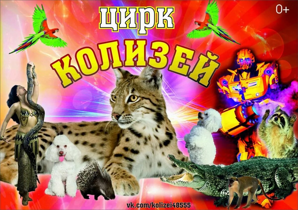 Цирк шапито колизей. Цирк колизей. Номер телефона цирка колизей республики тыва. Цирк колизей уфа. Цирк колизей.