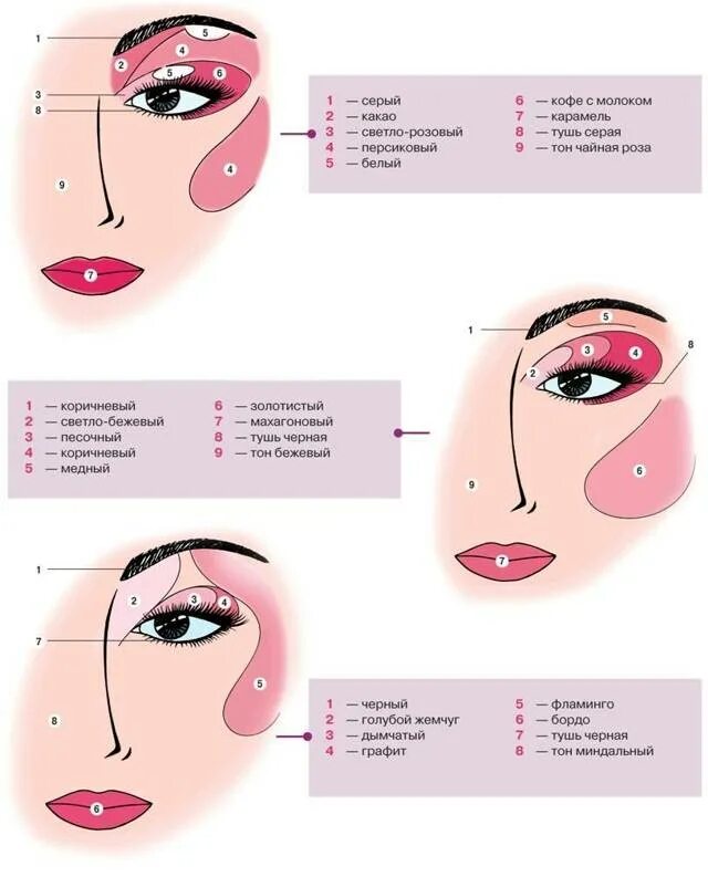 Наносить нужно в 2. Поэтапная схема нанесения макияжа. Схемы макияжа для начинающих. Схема дневного макияжа. Макияж глаз схема нанесения.