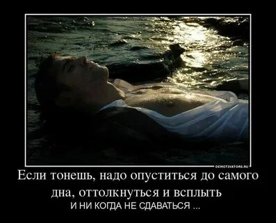 Я пробегаю жадным взглядом вестей горючих письмена