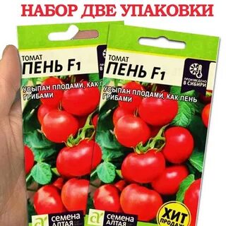 Томат пень